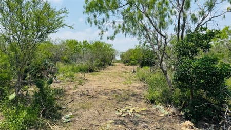 Beeville, TX 78102 Bee County