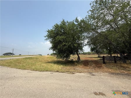 Stockdale, TX 78160 Wilson County