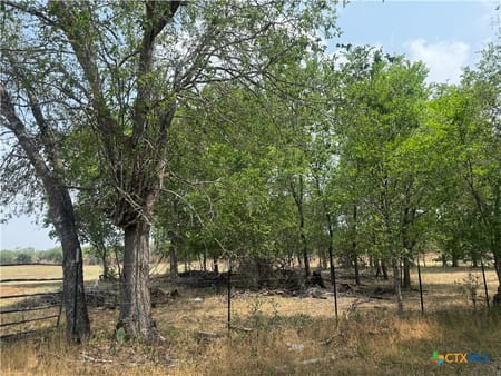 Stockdale, TX 78160 Wilson County