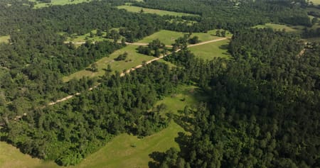 Montgomery, TX 77316 Montgomery County
