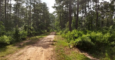 Montgomery, TX 77316 Montgomery County