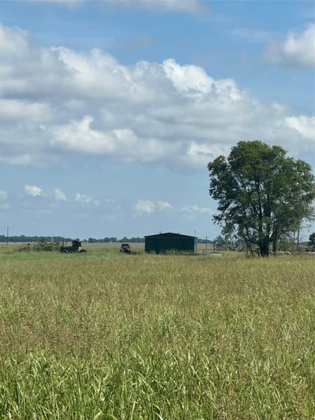Honey Grove, TX 75446 Fannin County