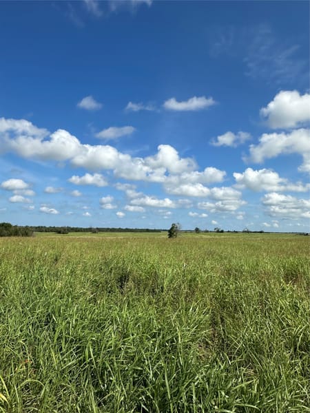 Honey Grove, TX 75446 Fannin County