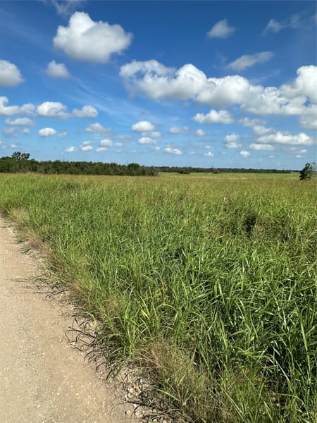 Honey Grove, TX 75446 Fannin County