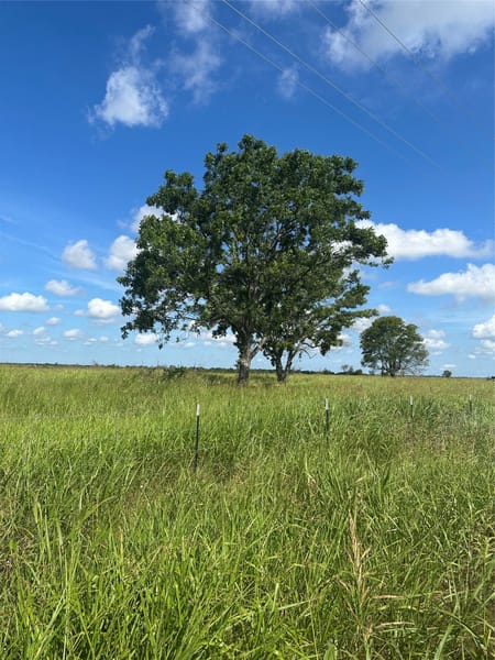 Honey Grove, TX 75446 Fannin County