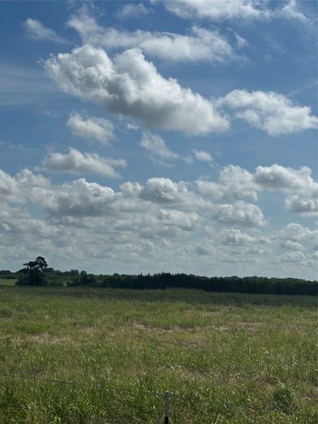 Honey Grove, TX 75446 Fannin County