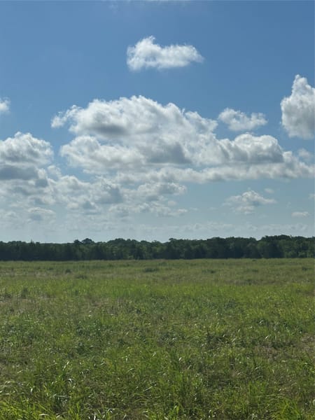 Honey Grove, TX 75446 Fannin County
