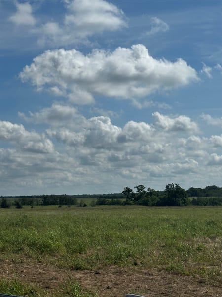 Honey Grove, TX 75446 Fannin County