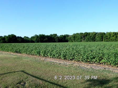 Malone, TX 76660 Hill County