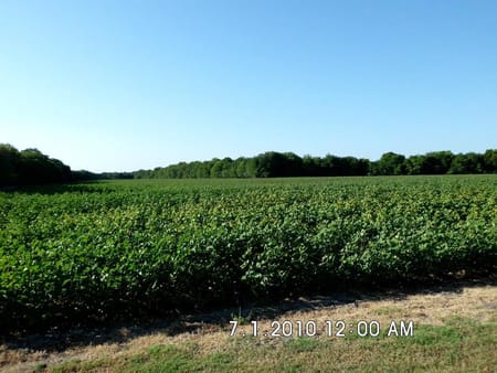 Malone, TX 76660 Hill County