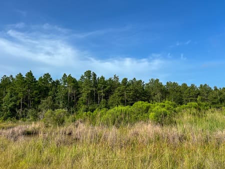 Huntsville, TX 77320 Walker County