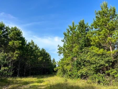 Huntsville, TX 77320 Walker County
