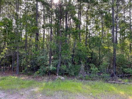 Huntsville, TX 77320 Walker County