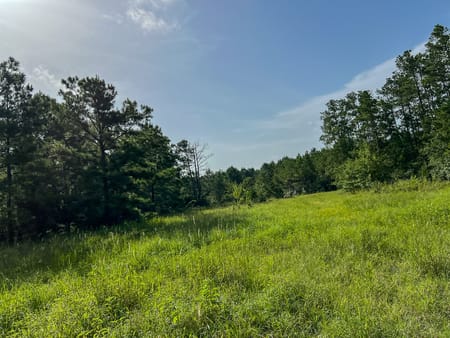 Huntsville, TX 77320 Walker County