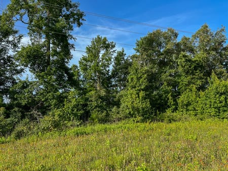 Huntsville, TX 77320 Walker County