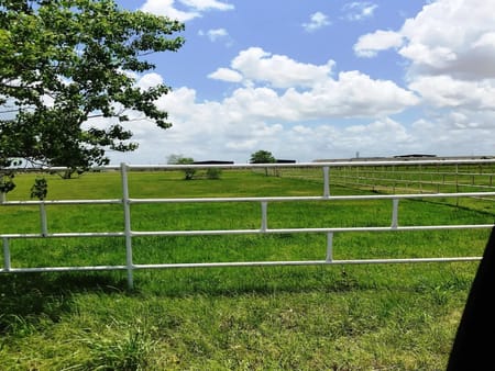 Brookshire, TX 77423 Waller County