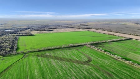 Gunter, TX 75058 Grayson County