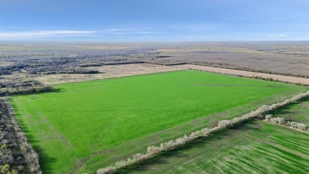 Gunter, TX 75058 Grayson County