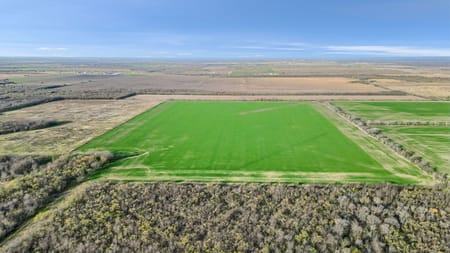 Gunter, TX 75058 Grayson County