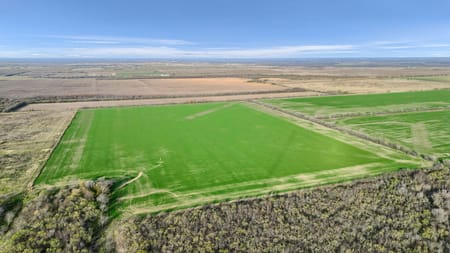 Gunter, TX 75058 Grayson County