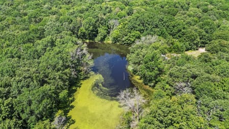 Sulphur Springs, TX 75482 Hopkins County