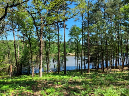 Frankston, TX 75763 Henderson County