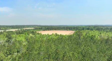 Navasota, TX 77868 Grimes County