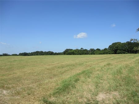 Emory, TX 75440 Rains County