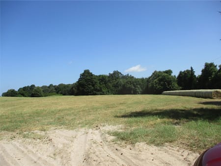 Emory, TX 75440 Rains County