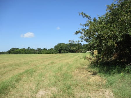 Emory, TX 75440 Rains County