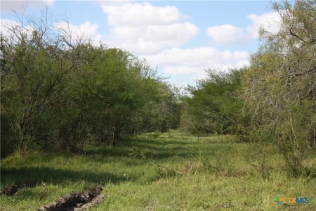 Sinton, TX 78387 San Patricio County