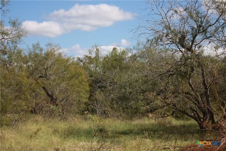 Sinton, TX 78387 San Patricio County