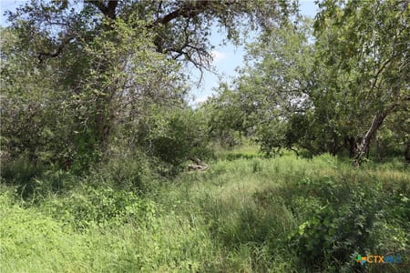 Sinton, TX 78387 San Patricio County