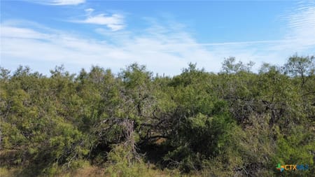 Sinton, TX 78387 San Patricio County