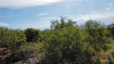 Sinton, TX 78387 San Patricio County