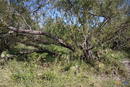Sinton, TX 78387 San Patricio County