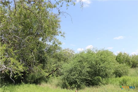 Sinton, TX 78387 San Patricio County