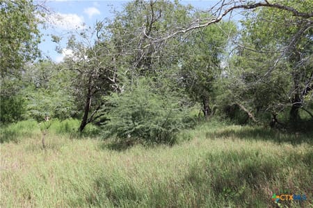 Sinton, TX 78387 San Patricio County