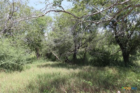 Sinton, TX 78387 San Patricio County