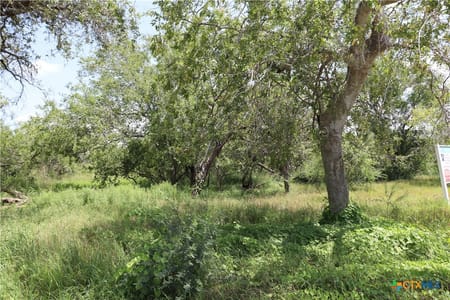 Sinton, TX 78387 San Patricio County