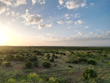 Ovalo, TX 79567 Taylor County