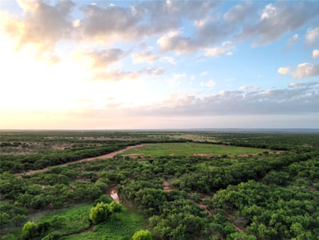 Ovalo, TX 79567 Taylor County