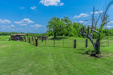Wills Point, TX 75169 Van Zandt County