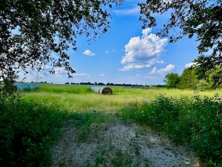 Bailey, TX 75413 Fannin County