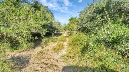 Francitas, TX 77961 Jackson County