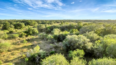 Francitas, TX 77961 Jackson County
