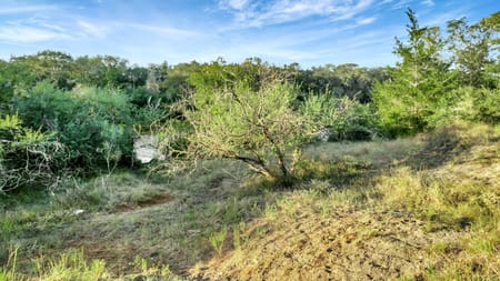 Francitas, TX 77961 Jackson County