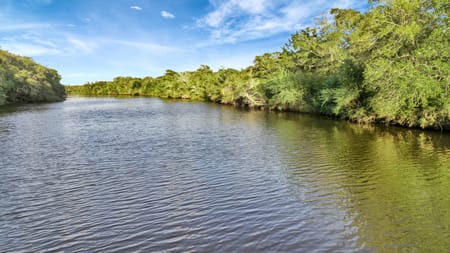 Francitas, TX 77961 Jackson County