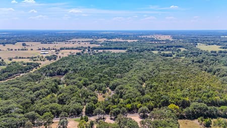 Ivanhoe, TX 75447 Fannin County