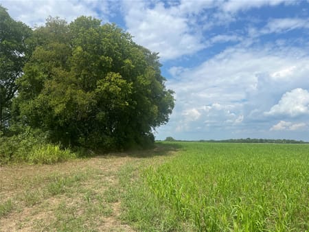 Windom, TX 75492 Fannin County